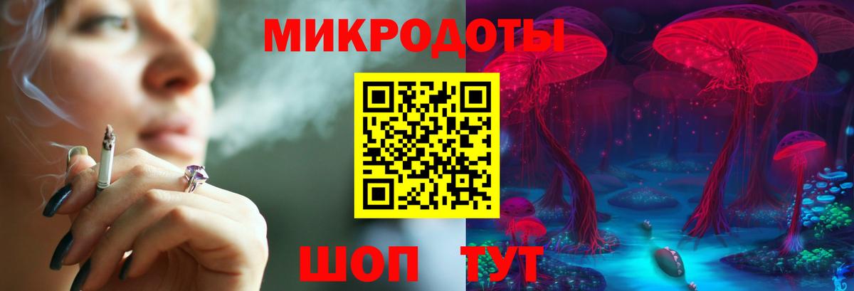 Галлюциногенные грибы Psilocybe Осинники